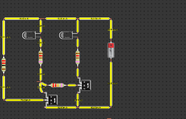 circuitao vaina