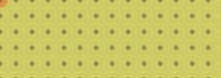 new-circuit