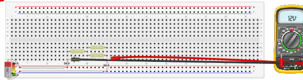 CIRCUITO 7