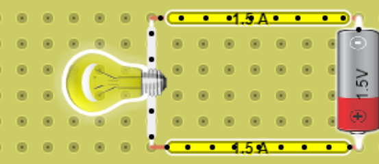 nata circuito