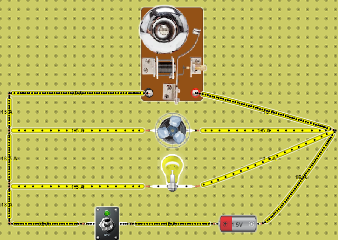 circuito 5